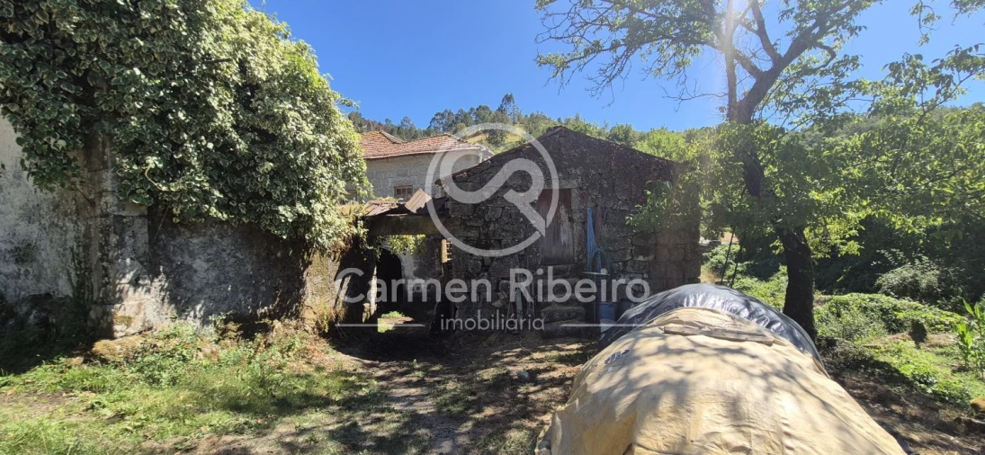 Quinta T10 para Venda em Rossas Foto 44