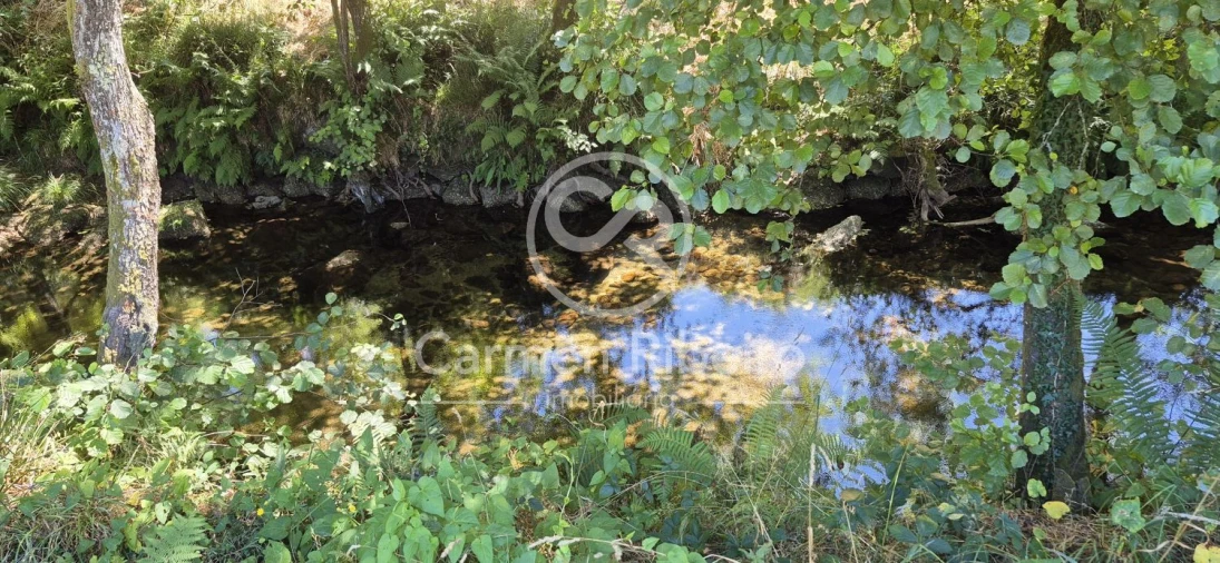 Quinta T10 para Venda em Rossas Foto 14