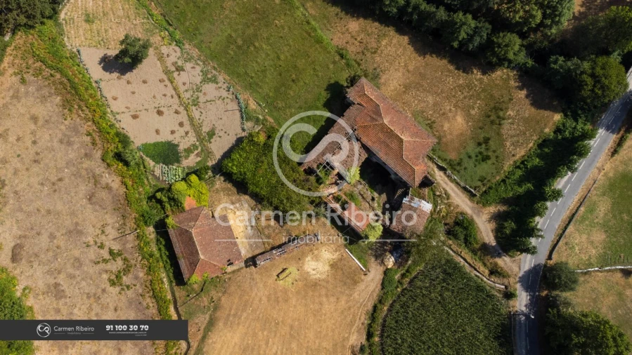 Quinta T10 para Venda em Rossas Foto 1