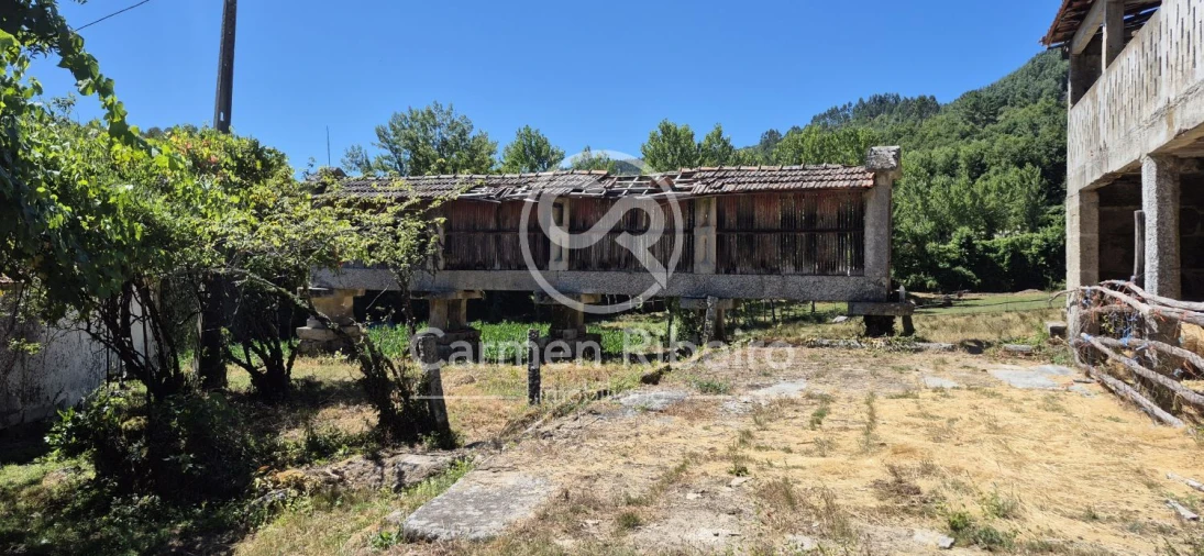 Quinta T10 para Venda em Rossas Foto 21