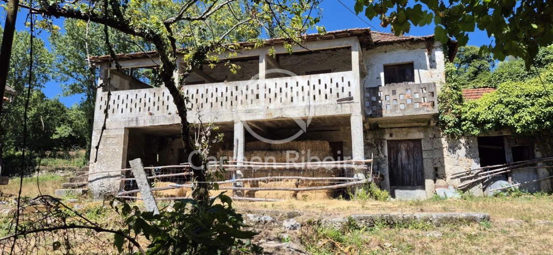 Quinta T10 para Venda em Rossas Foto 20