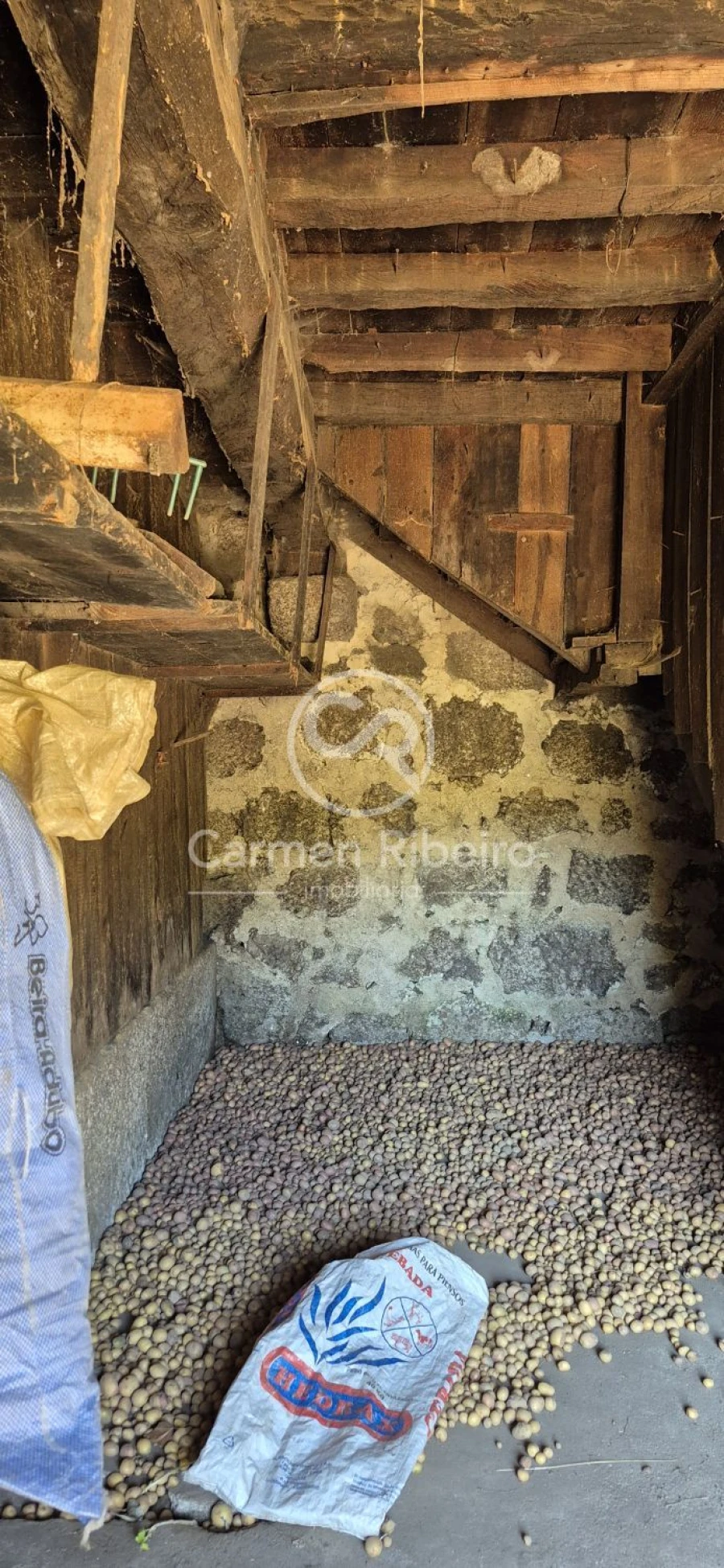 Quinta T10 para Venda em Rossas Foto 25