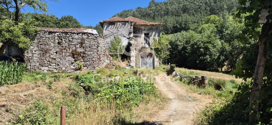 Quinta T10 para Venda em Rossas Foto 5