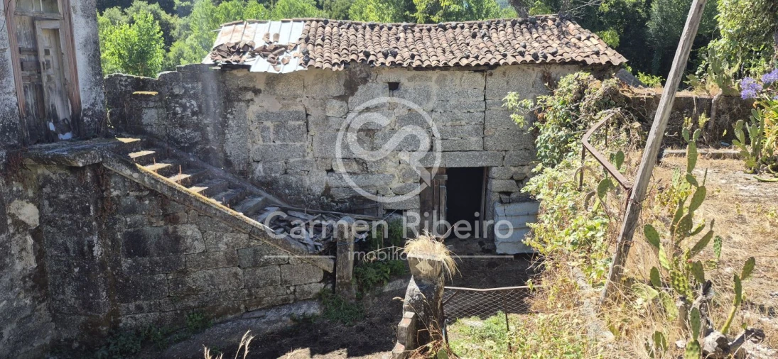 Quinta T10 para Venda em Rossas Foto 34