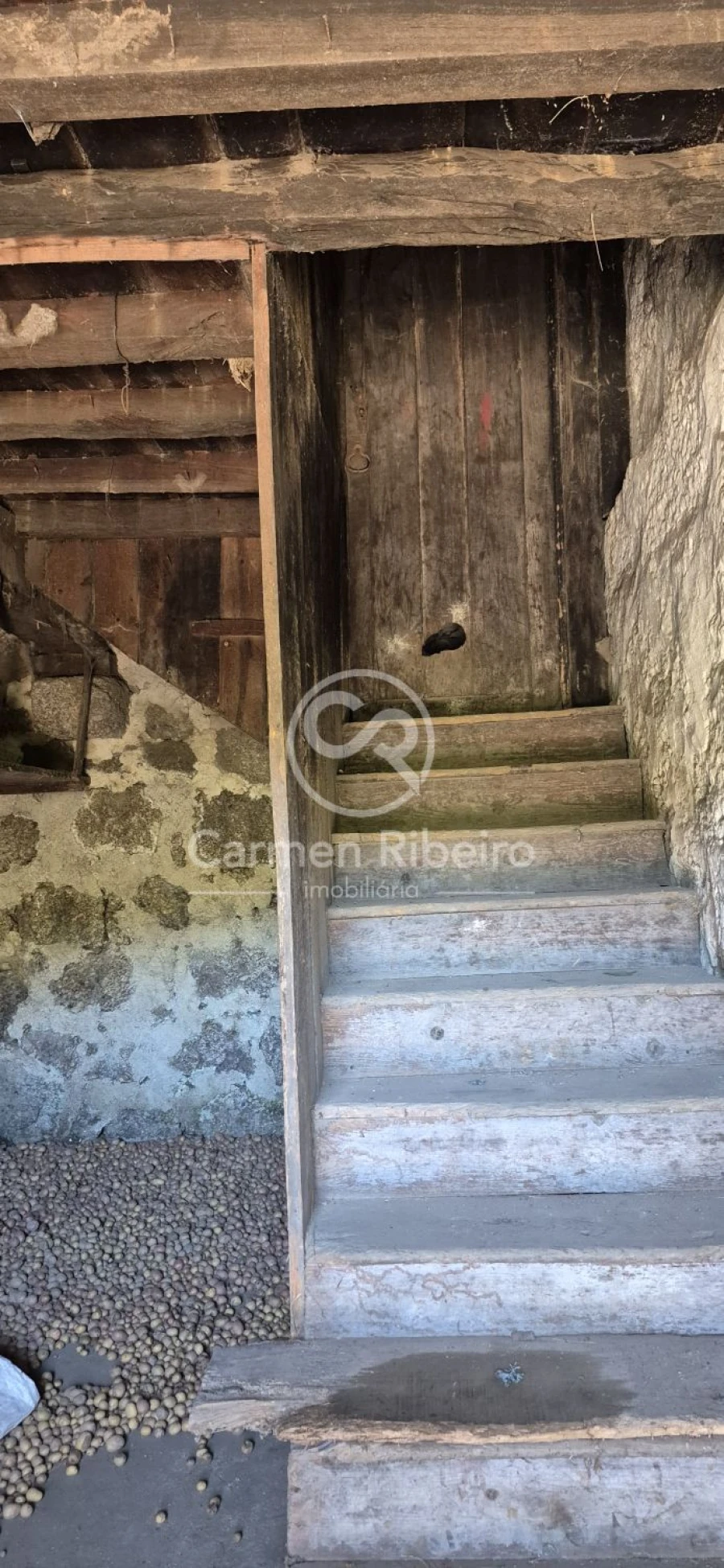 Quinta T10 para Venda em Rossas Foto 23