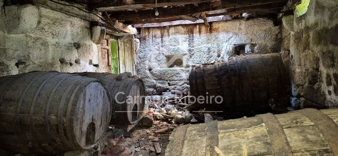 Quinta T10 para Venda em Rossas Foto 46