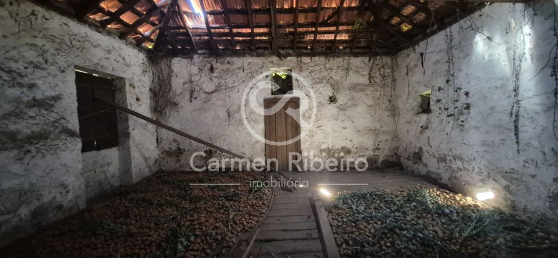 Quinta T10 para Venda em Rossas Foto 30