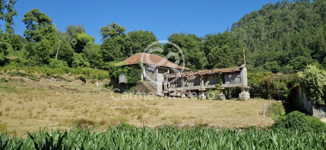 Quinta T10 para Venda em Rossas Foto 52