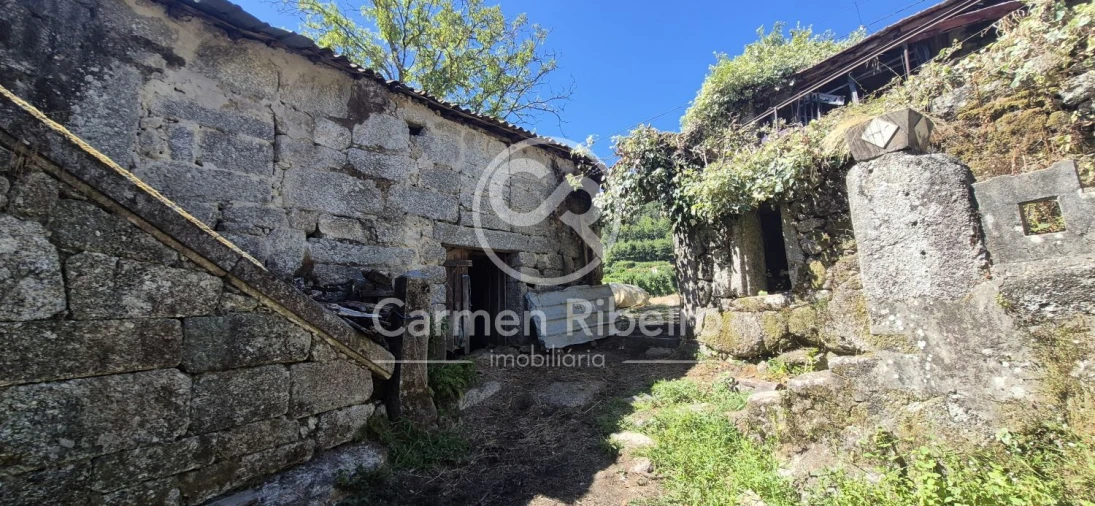 Quinta T10 para Venda em Rossas Foto 43