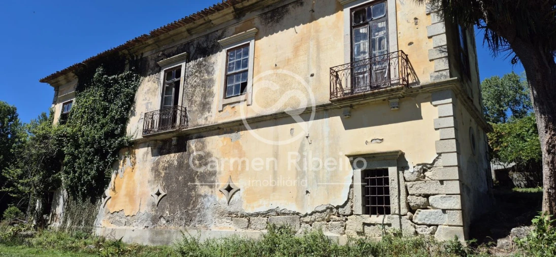 Quinta T10 para Venda em Rossas Foto 11