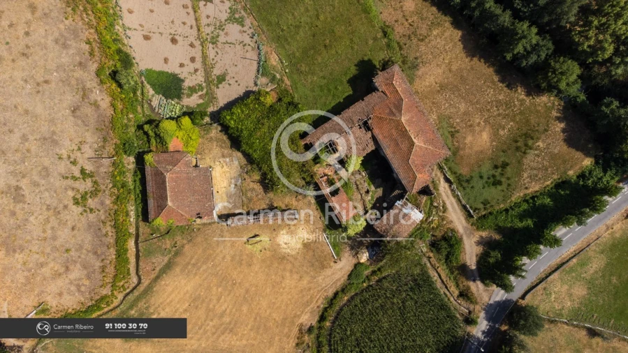 Quinta T10 para Venda em Rossas Foto 55