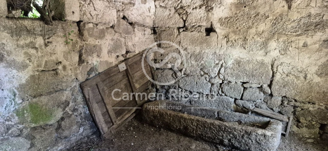 Quinta T10 para Venda em Rossas Foto 17