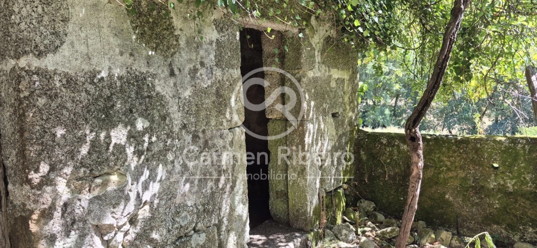 Quinta T10 para Venda em Rossas Foto 16