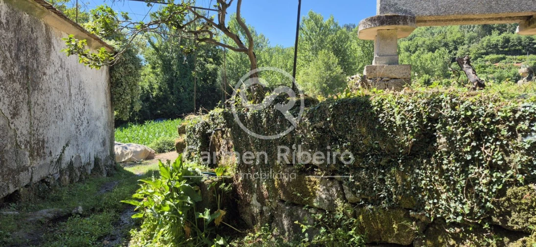 Quinta T10 para Venda em Rossas Foto 33