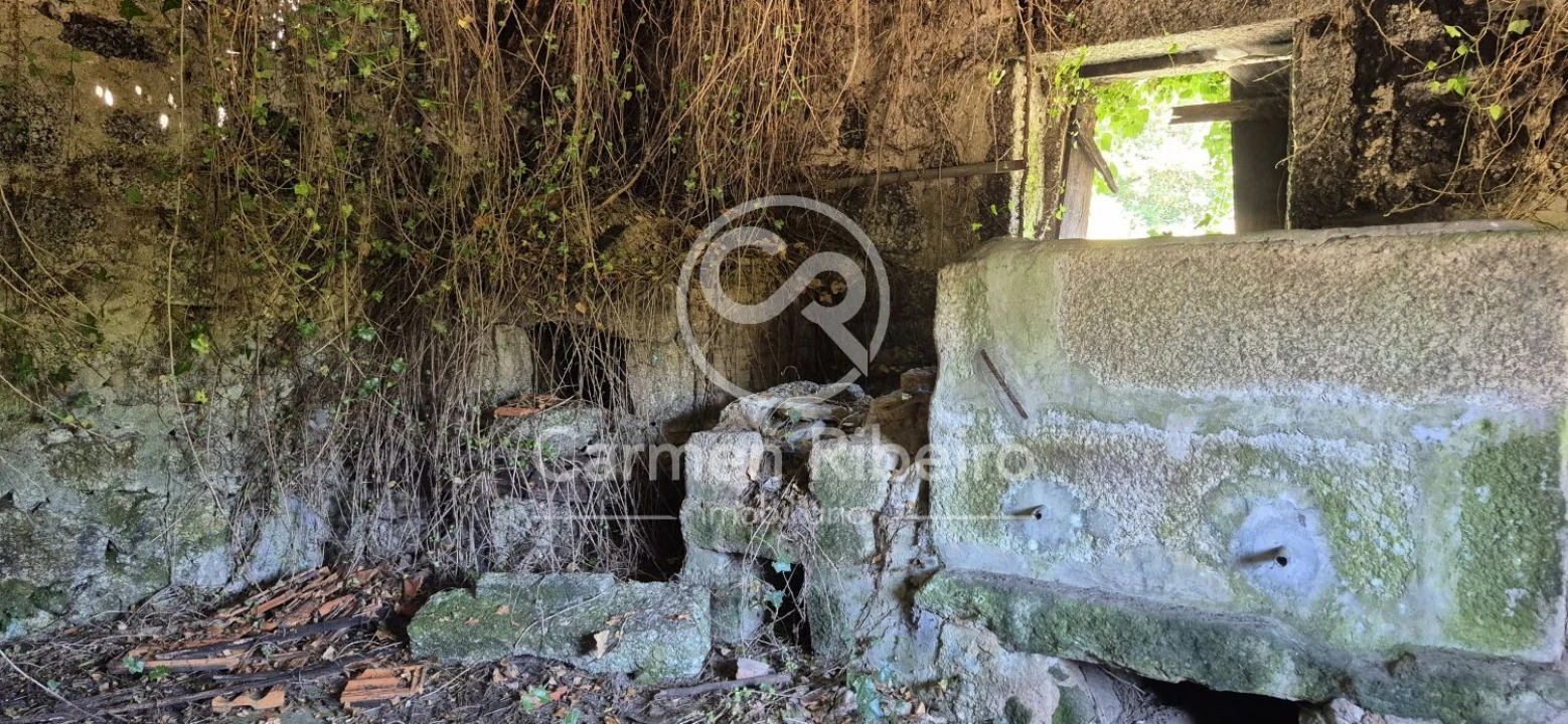 Quinta T10 para Venda em Rossas Foto 24