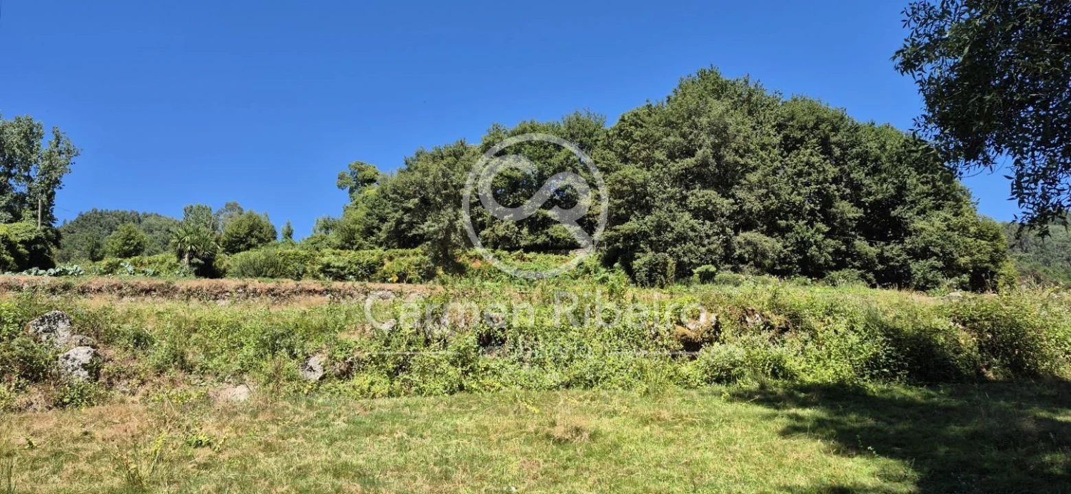 Quinta T10 para Venda em Rossas Foto 15