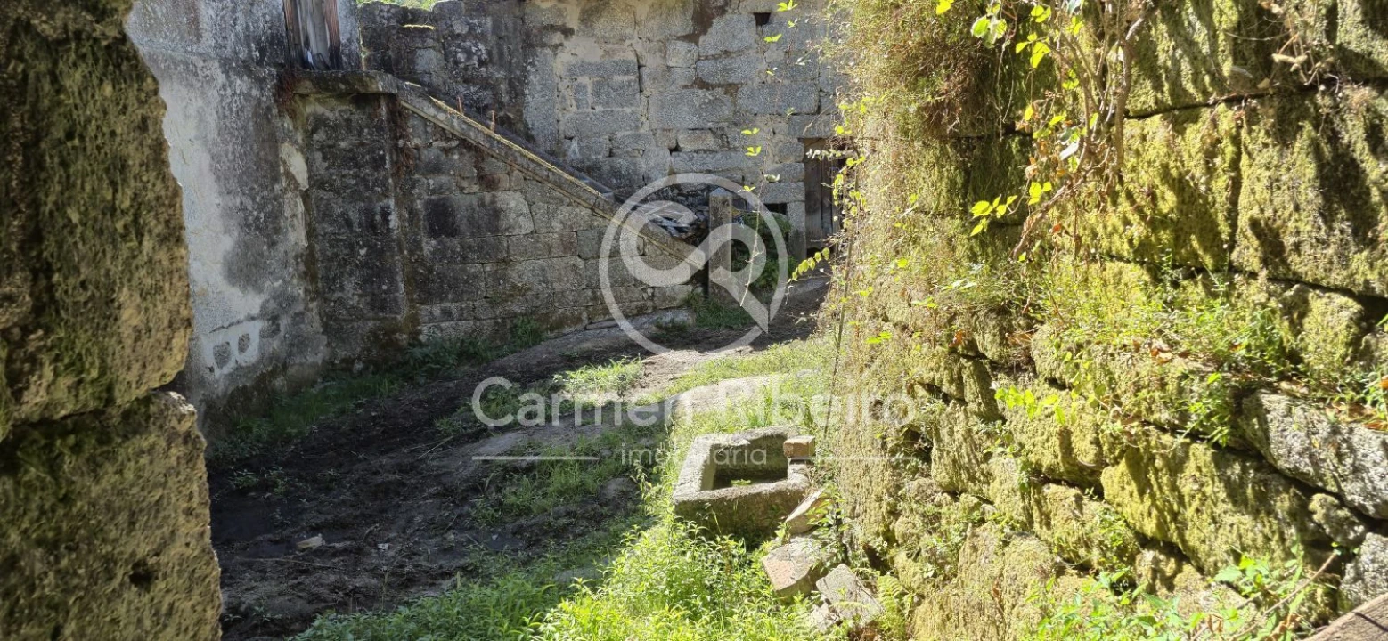 Quinta T10 para Venda em Rossas Foto 42