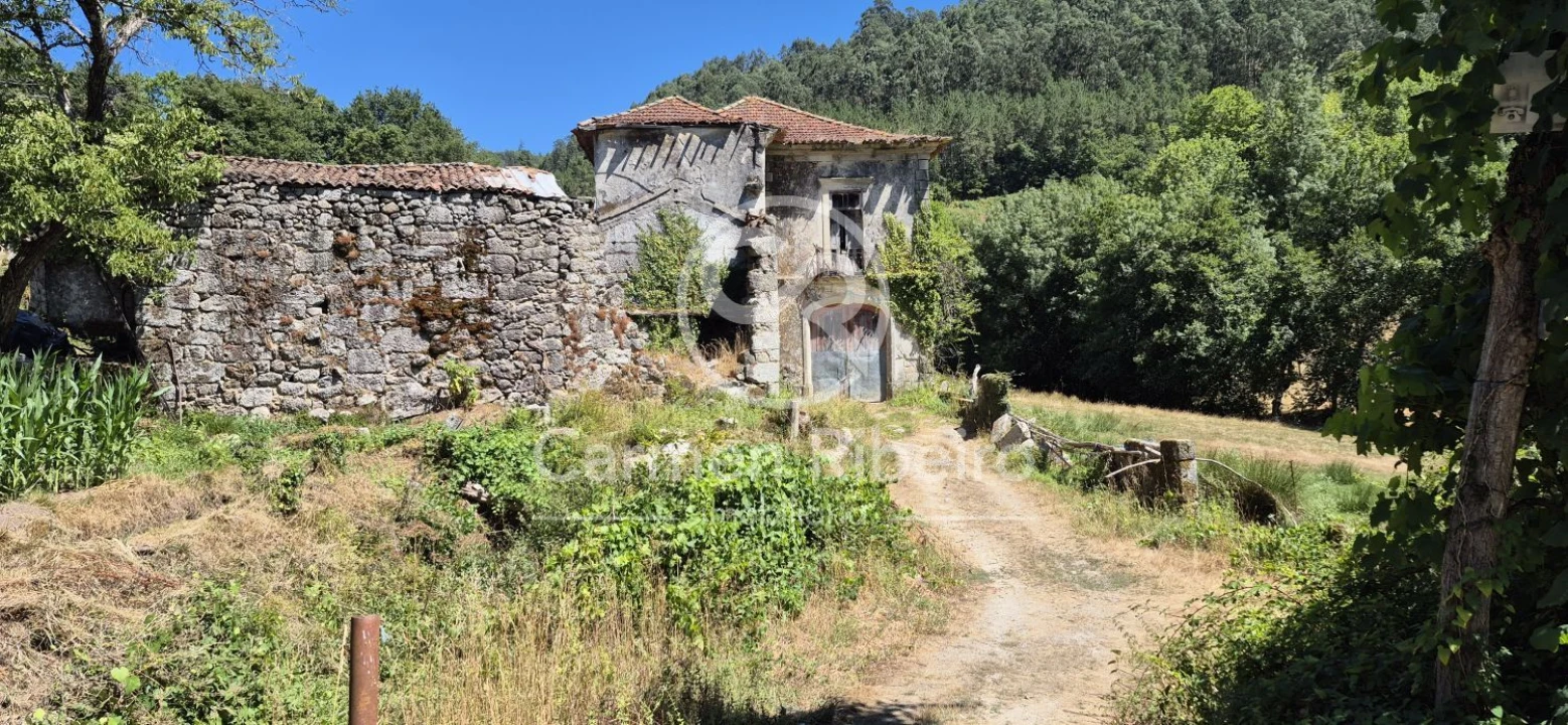 Quinta T10 para Venda em Rossas Foto 5