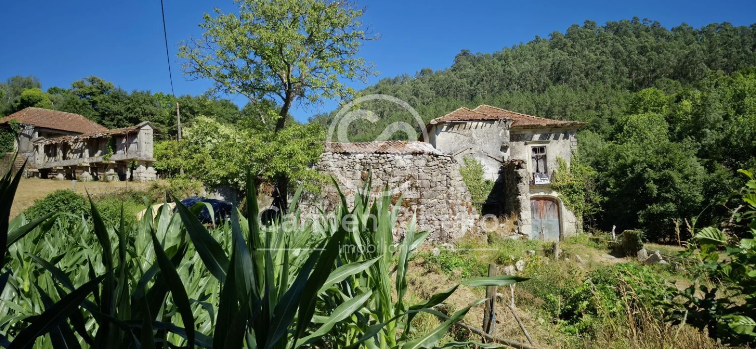 Quinta T10 para Venda em Rossas Foto 6