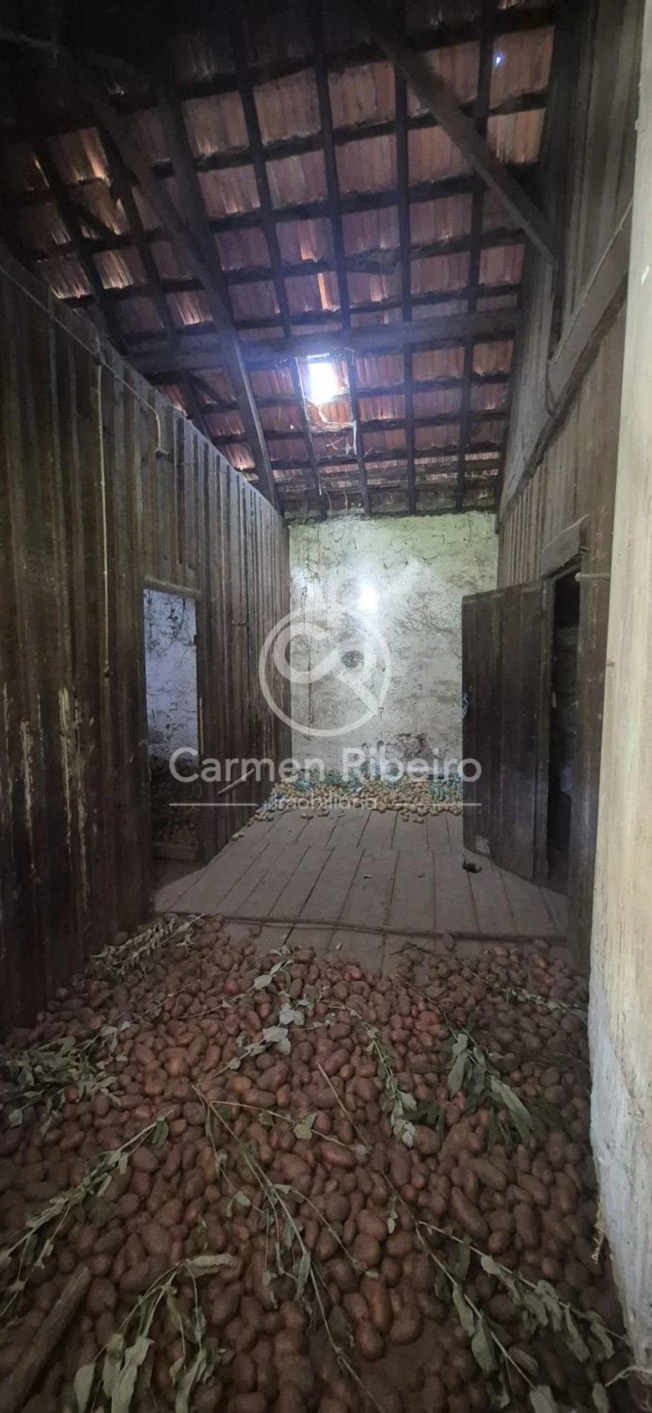 Quinta T10 para Venda em Rossas Foto 28