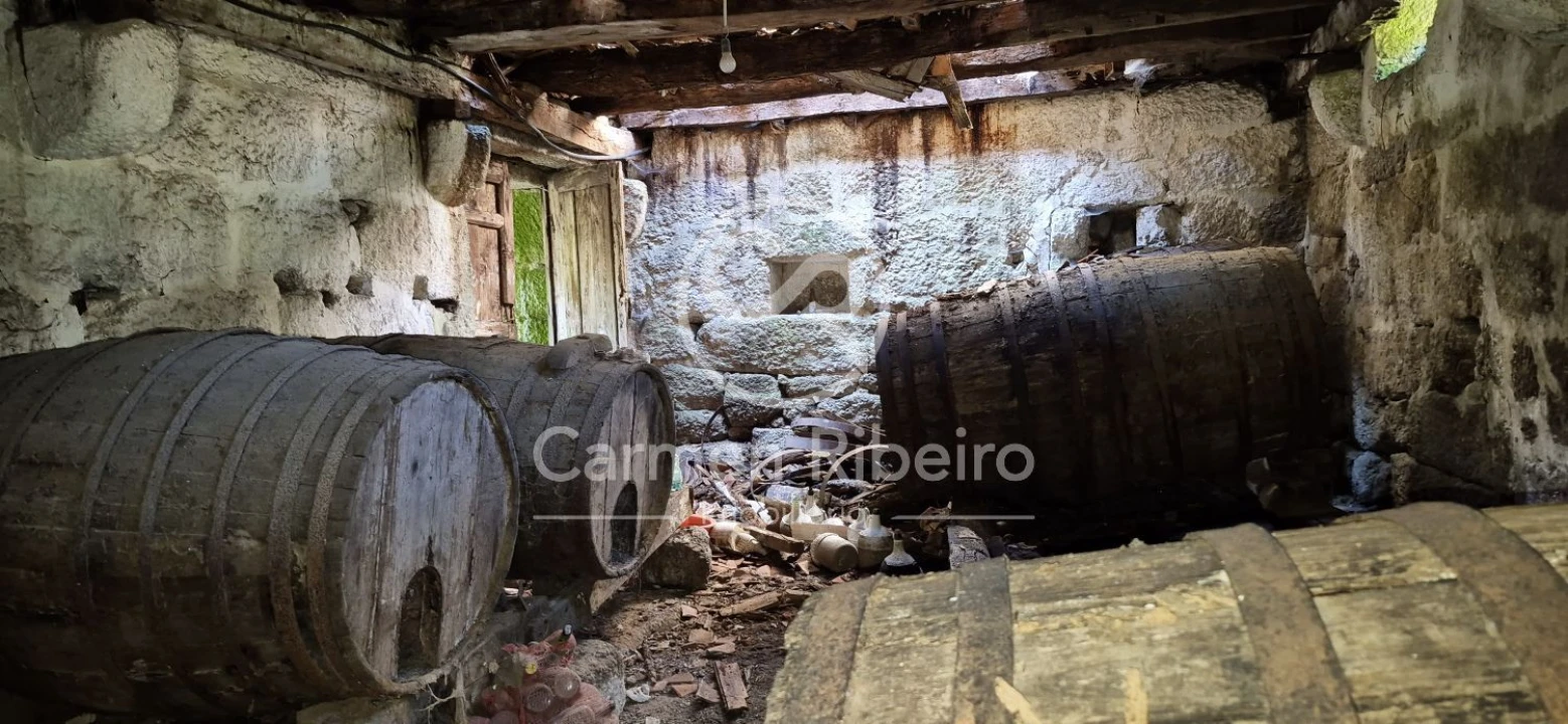 Quinta T10 para Venda em Rossas Foto 46