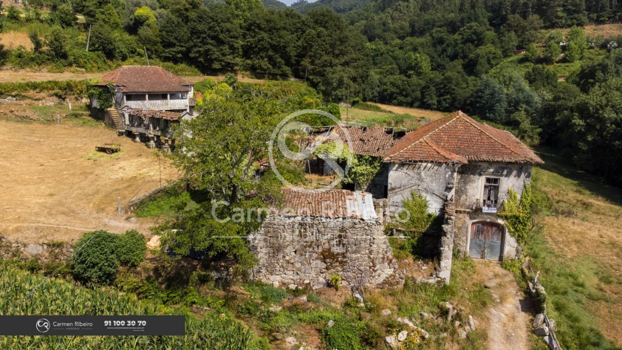 Quinta T10 para Venda em Rossas Foto 3