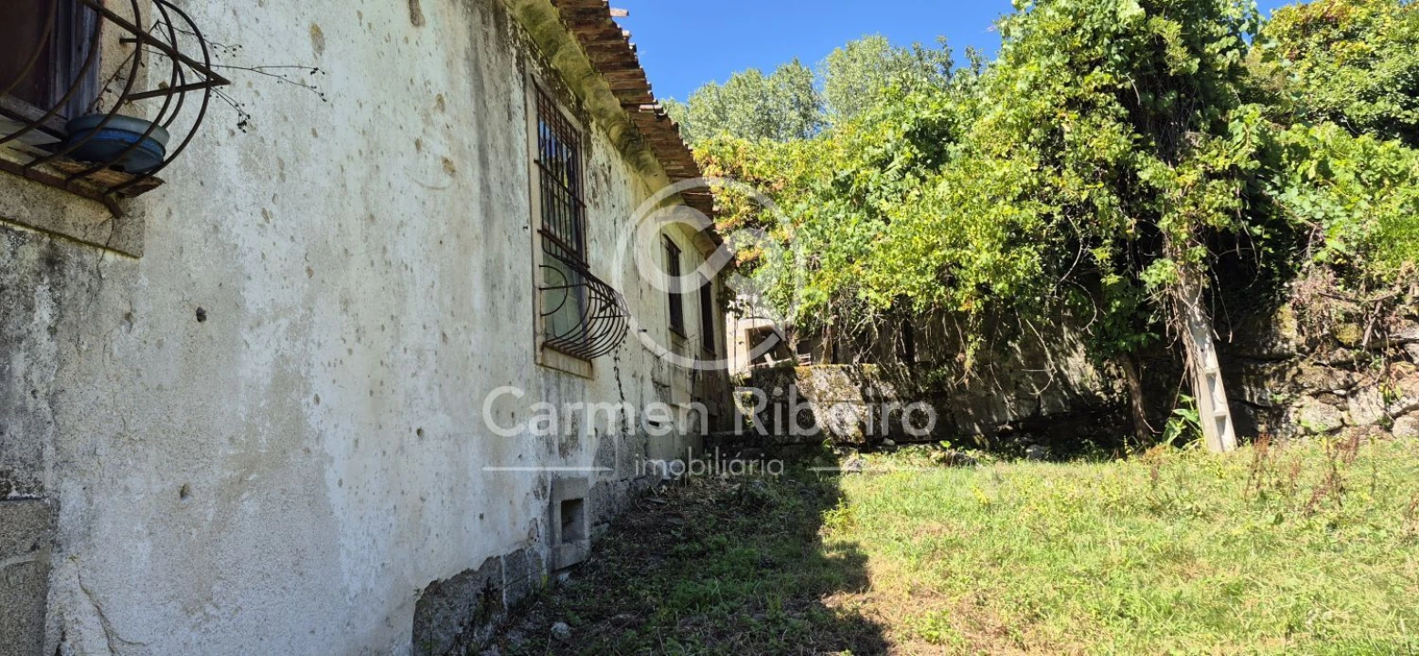 Quinta T10 para Venda em Rossas Foto 13