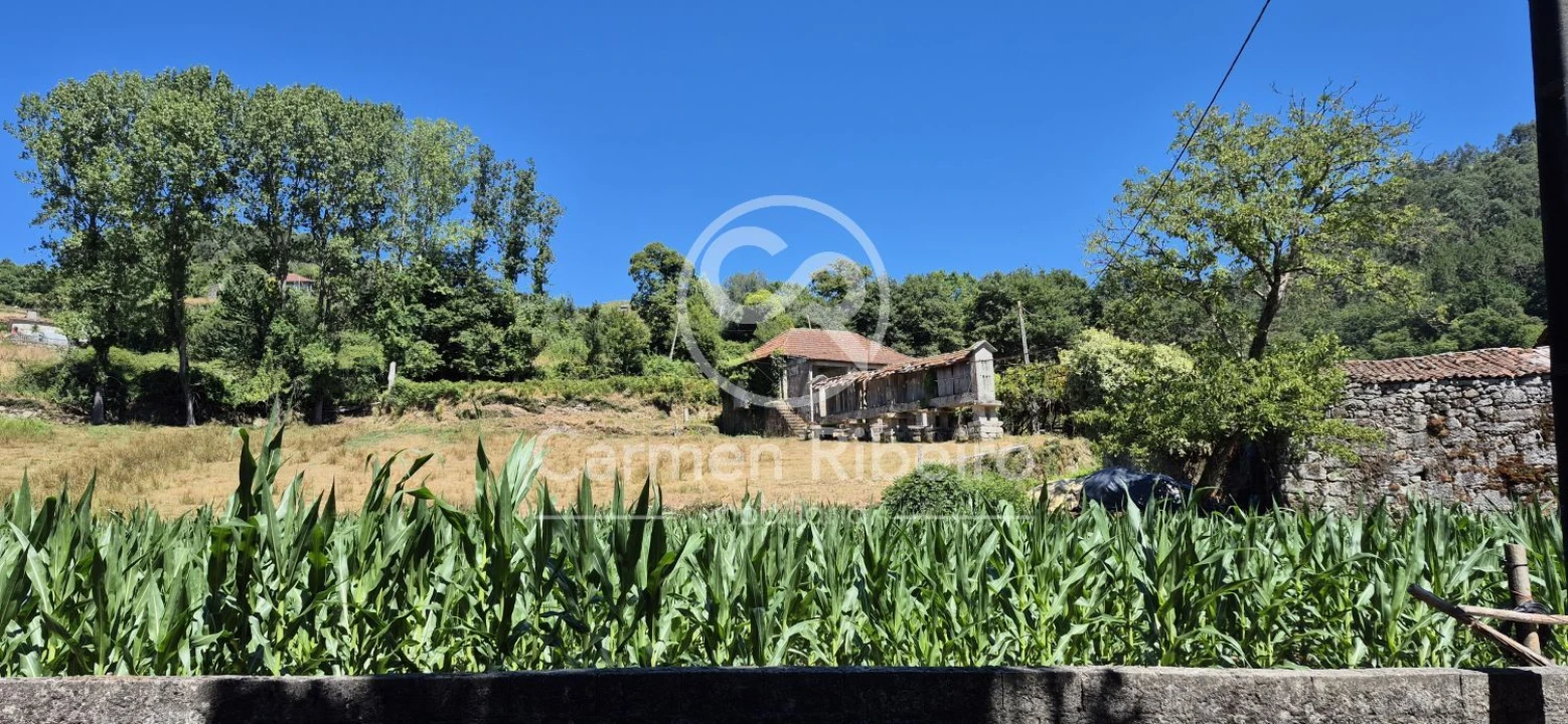 Quinta T10 para Venda em Rossas Foto 7