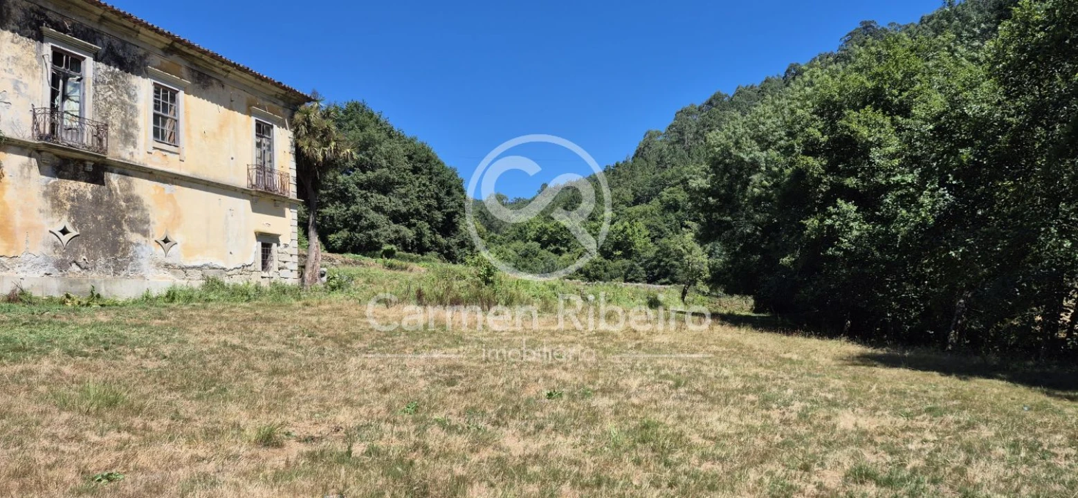 Quinta T10 para Venda em Rossas Foto 9