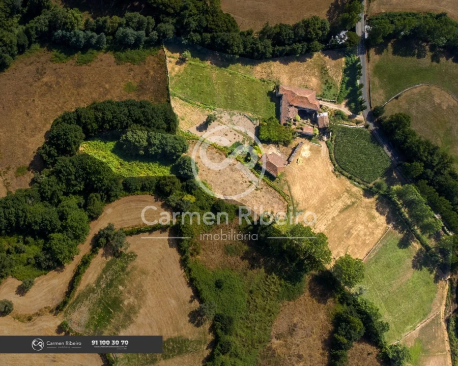 Quinta T10 para Venda em Rossas Foto 60