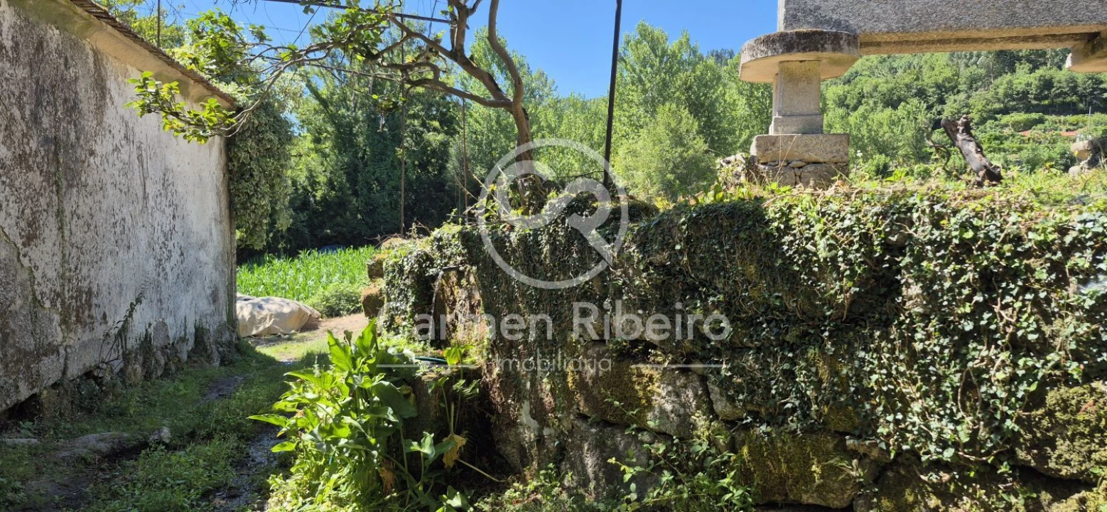 Quinta T10 para Venda em Rossas Foto 33