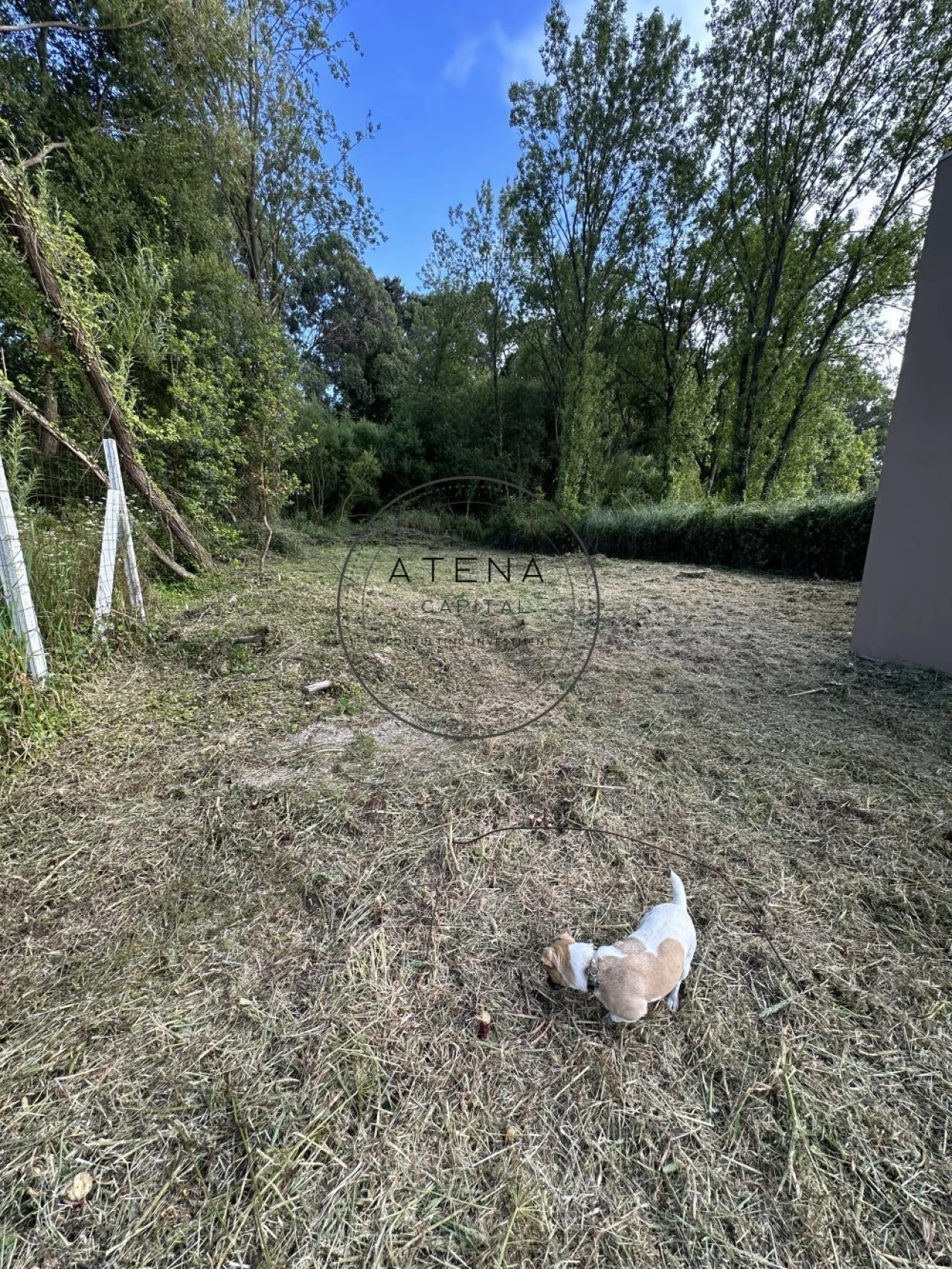 Terreno para Venda em Canidelo Foto 37