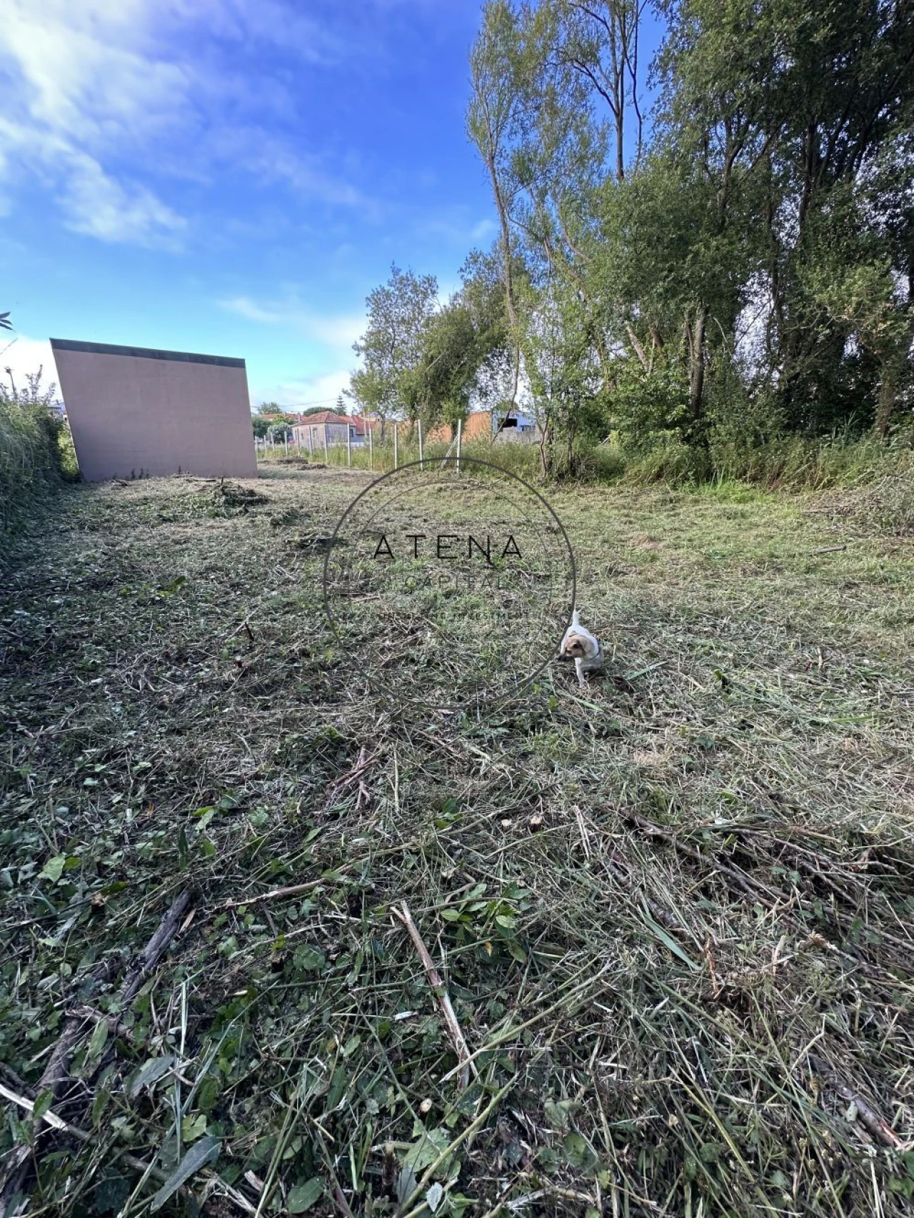 Terreno para Venda em Canidelo Foto 36