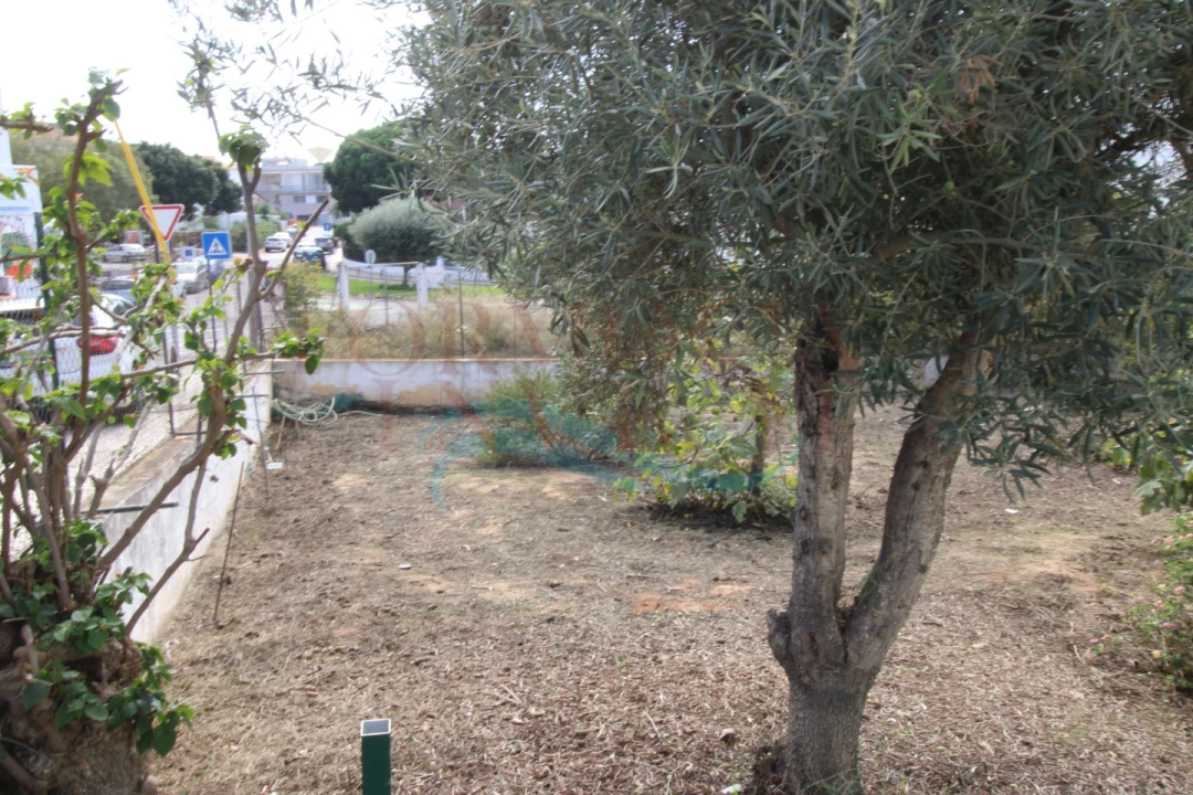 Terreno para Venda em Montenegro Foto 2