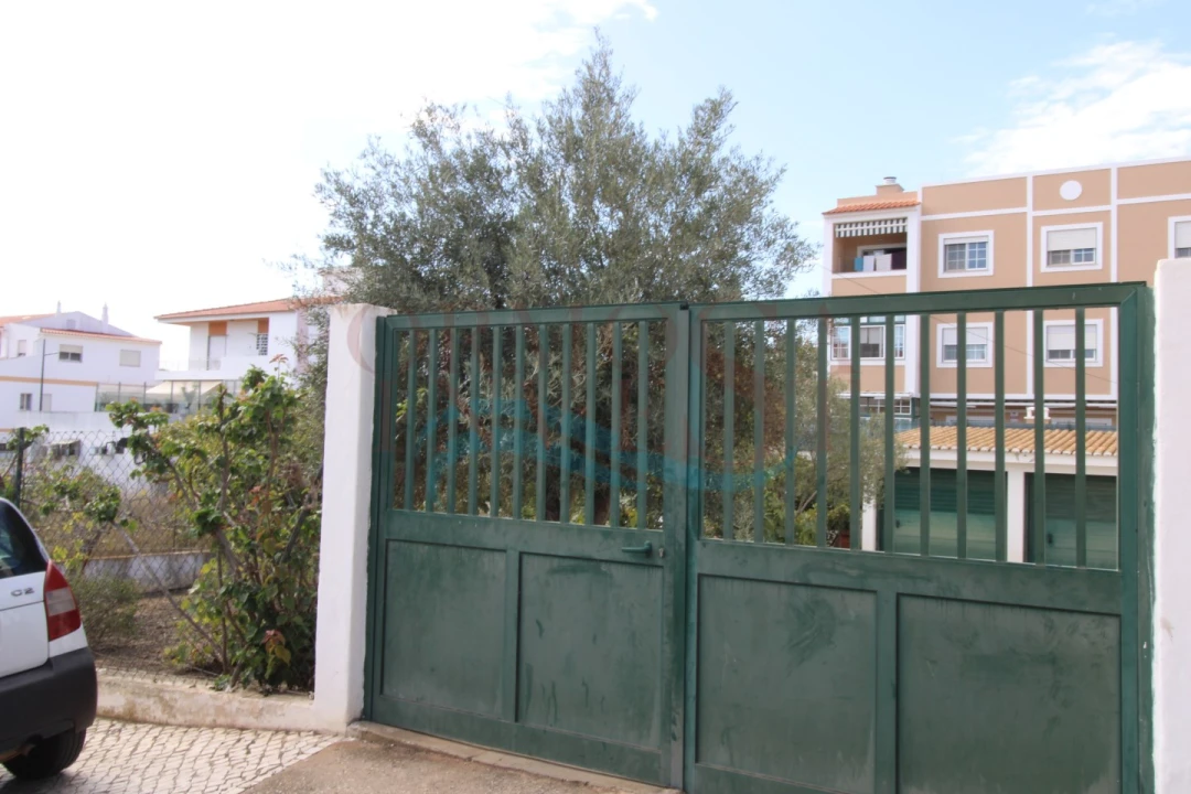 Terreno para Venda em Montenegro Foto 8