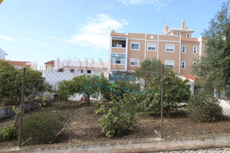 Terreno para Venda em Montenegro Foto 4