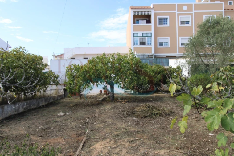 Terreno para Venda em Montenegro Foto 3