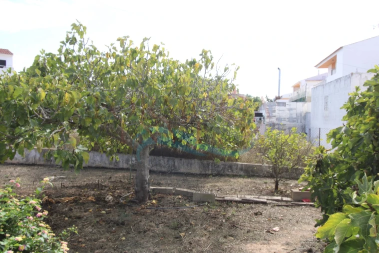 Terreno para Venda em Montenegro Foto 1