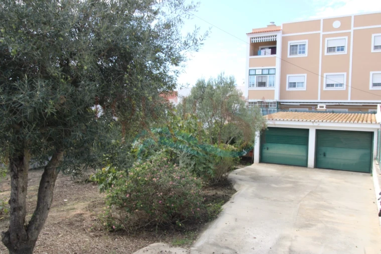 Terreno para Venda em Montenegro Foto 6