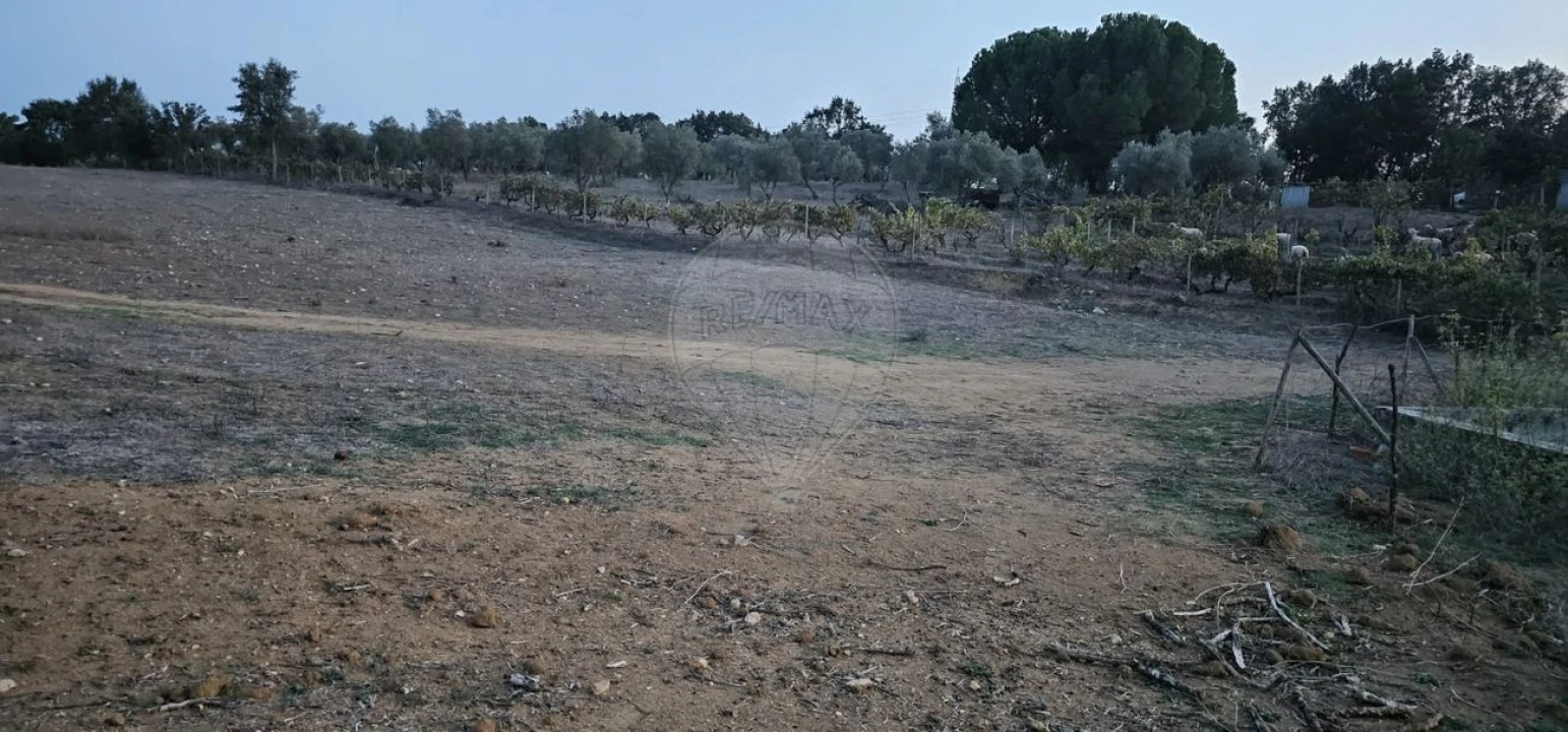 Terreno para Venda em Abrantes (São Vicente e São João) e Alferrarede Foto 20