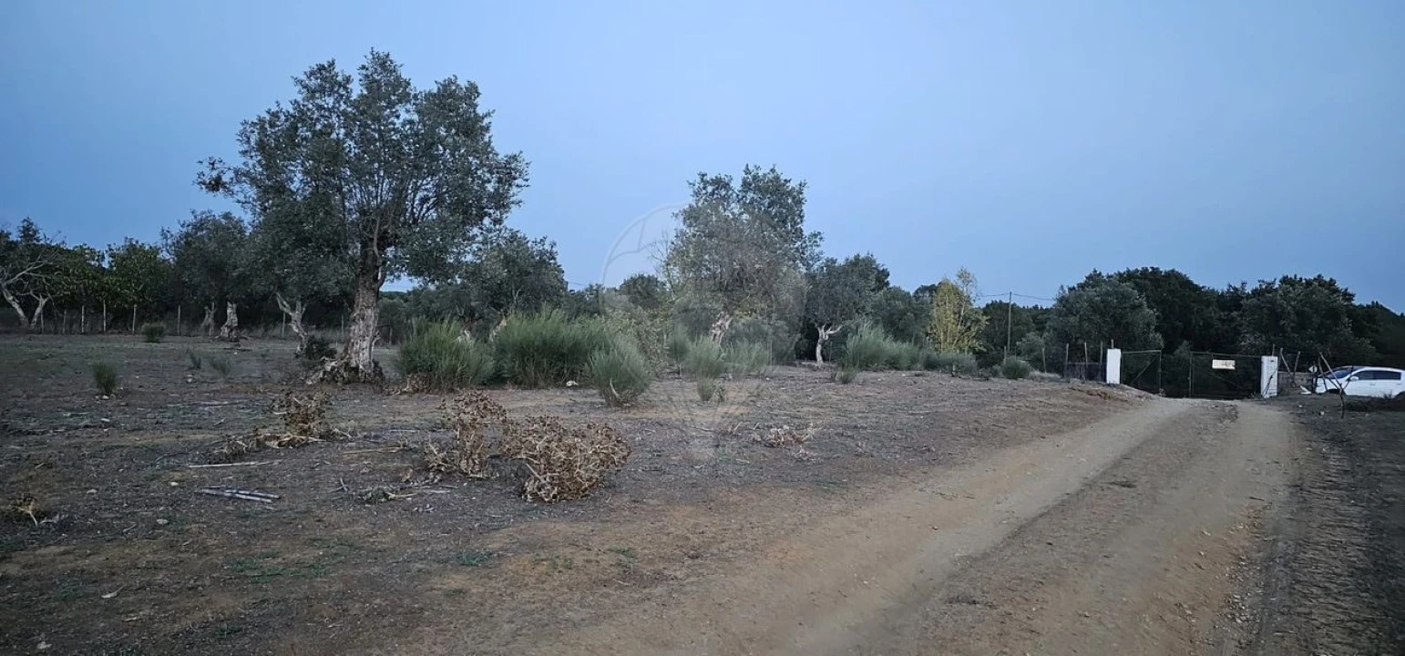 Terreno para Venda em Abrantes (São Vicente e São João) e Alferrarede Foto 13
