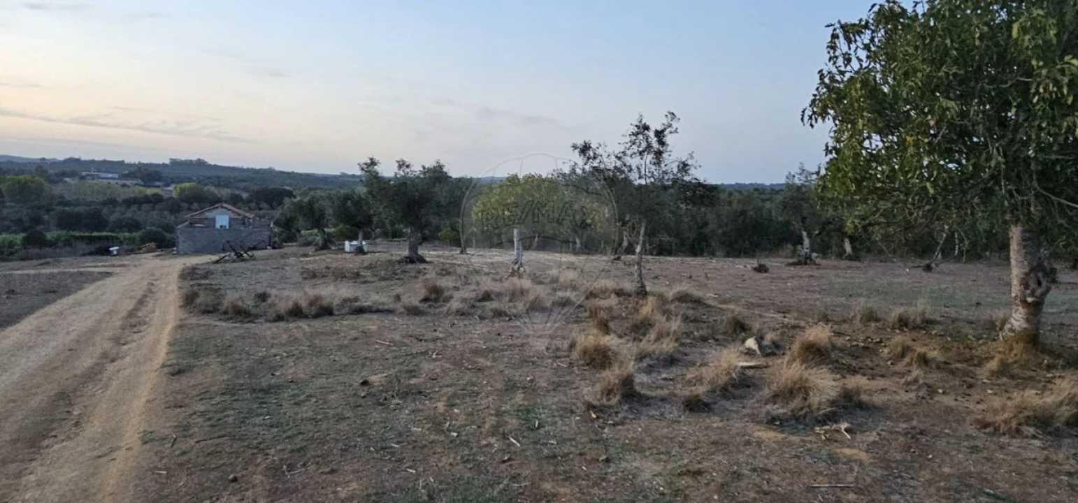 Terreno para Venda em Abrantes (São Vicente e São João) e Alferrarede Foto 1