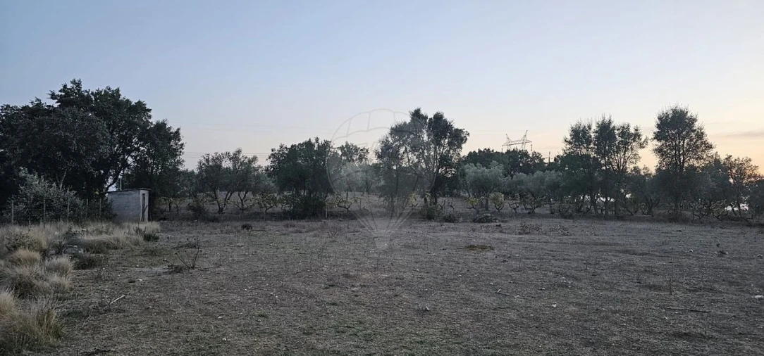 Terreno para Venda em Abrantes (São Vicente e São João) e Alferrarede Foto 6