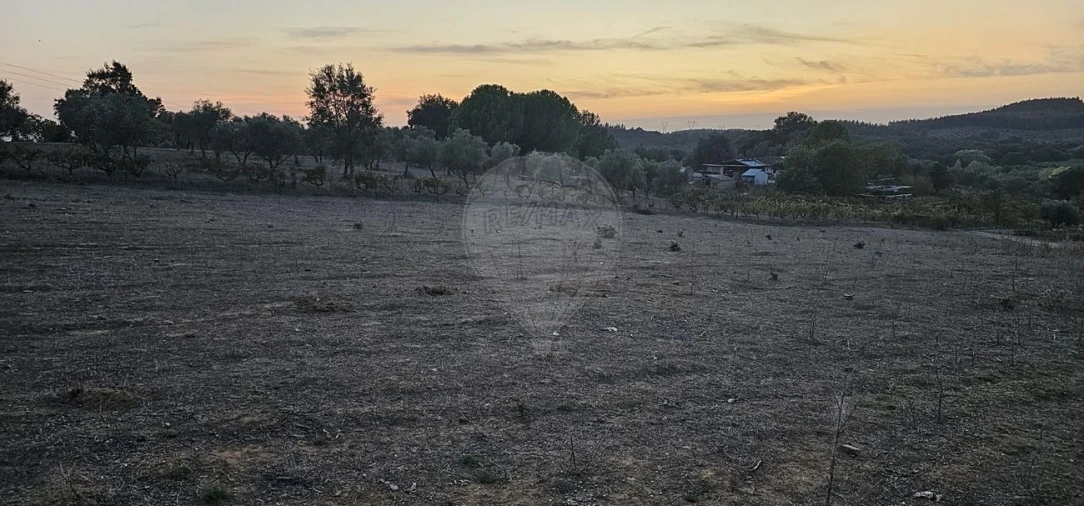 Terreno para Venda em Abrantes (São Vicente e São João) e Alferrarede Foto 9