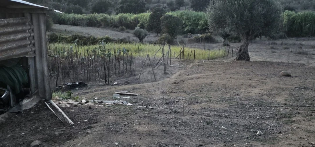Terreno para Venda em Abrantes (São Vicente e São João) e Alferrarede Foto 17