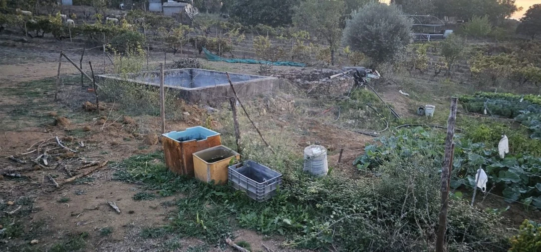 Terreno para Venda em Abrantes (São Vicente e São João) e Alferrarede Foto 22
