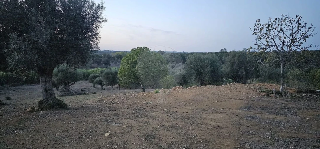 Terreno para Venda em Abrantes (São Vicente e São João) e Alferrarede Foto 15
