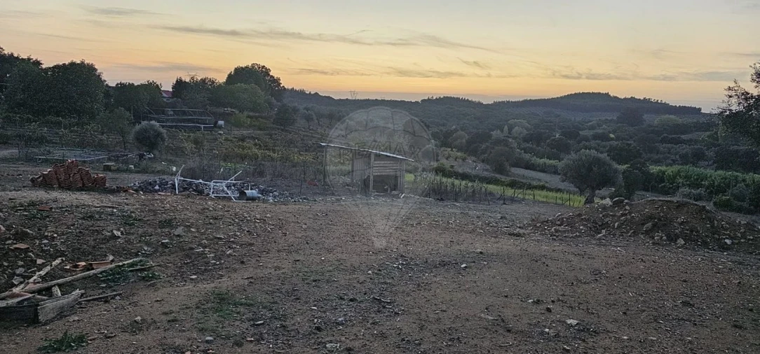 Terreno para Venda em Abrantes (São Vicente e São João) e Alferrarede Foto 19