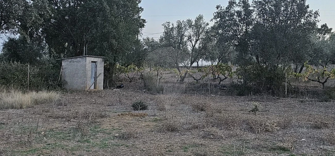 Terreno para Venda em Abrantes (São Vicente e São João) e Alferrarede Foto 3