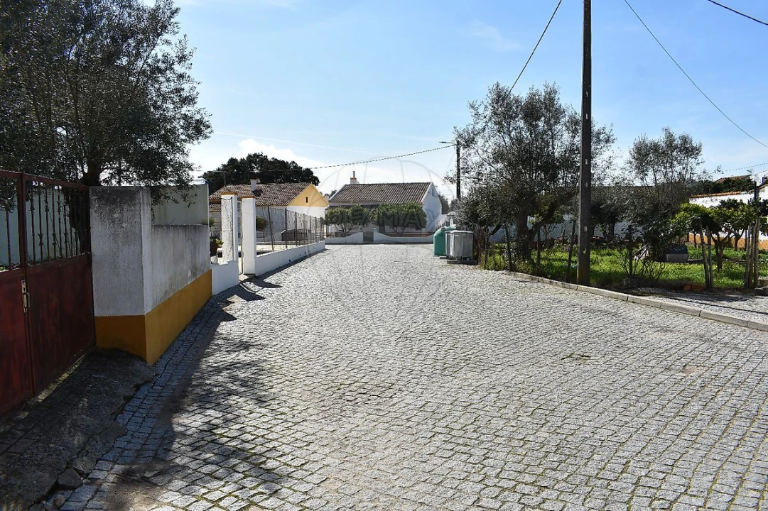 Moradia T1 para Venda em Benavila e Valongo Foto 5